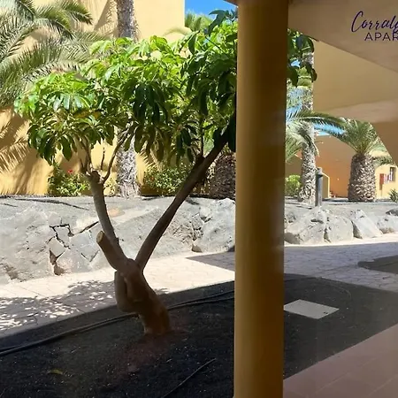 Apartment Elite Corralejo